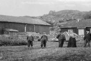 Bilde av Østre Buer / Hasaas / Vesterøyveien 259